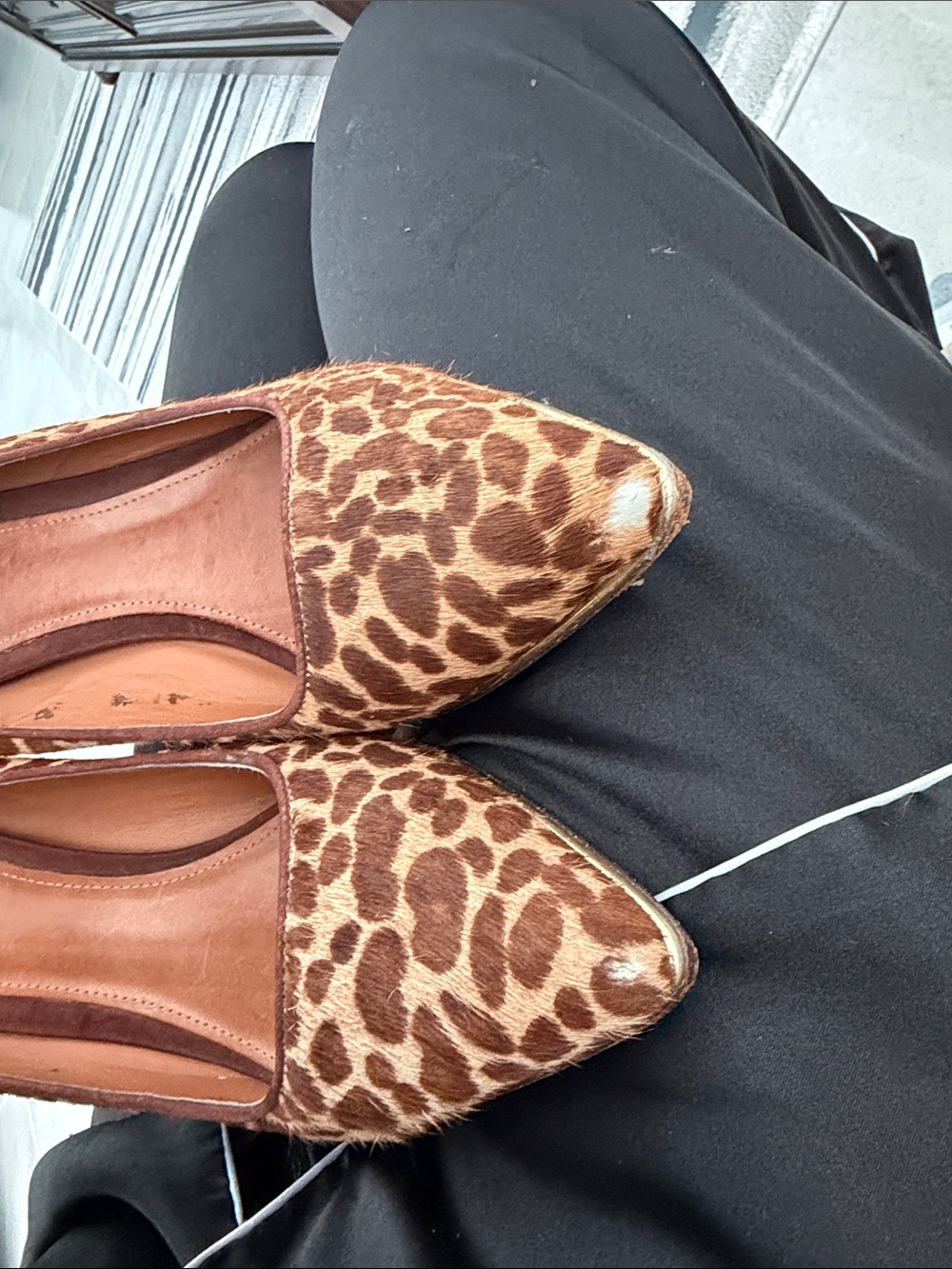 SCHUTZ Hair-Calf Leopard Print Pointed Toe Heels with Gold Trim - Picture 9 of 10